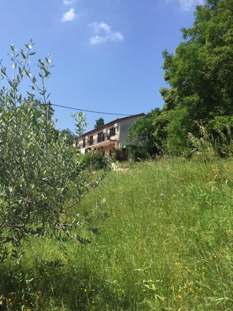 Apartment Cimbora, Salara Farmhouse Koper Buitenkant foto