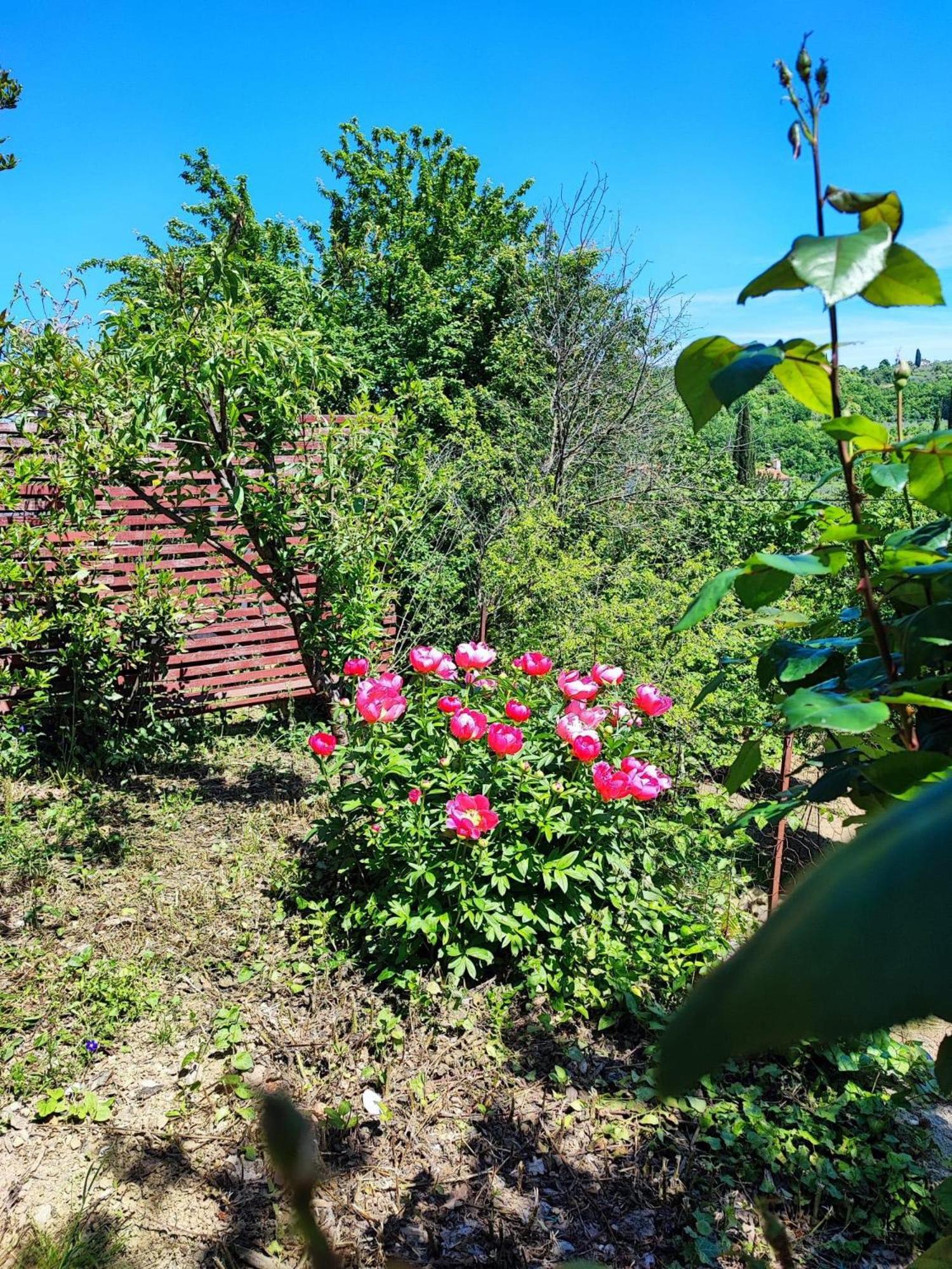 Apartment Cimbora, Salara Farmhouse Koper Buitenkant foto